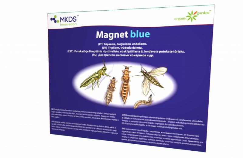 Klijų gaudyklė Magnet Blue