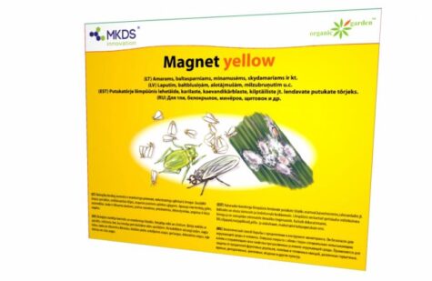 Klijų gaudyklė Magnet Yellow