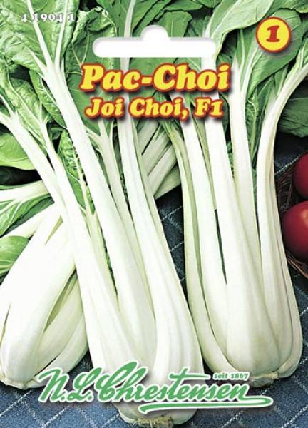 Kininis bastutis Pac Choi