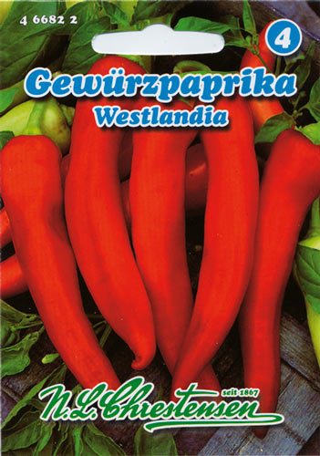 Krūminė paprika Westlandia