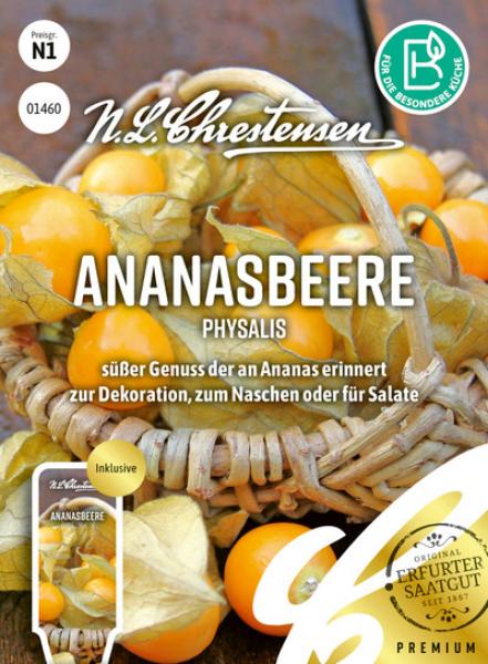 Dumplūnė Ananasbeere S