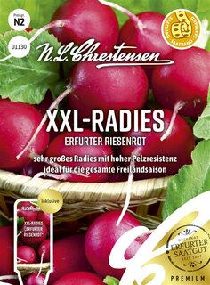 Ridikėliai XXL Erfurter Riesenrot 3 m juosta S