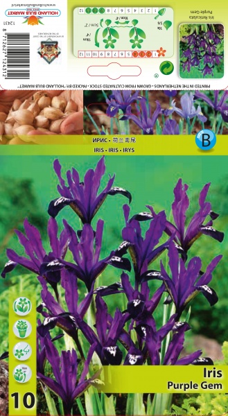 Tinklinis vilkdalgis Purple Gem 10 vnt